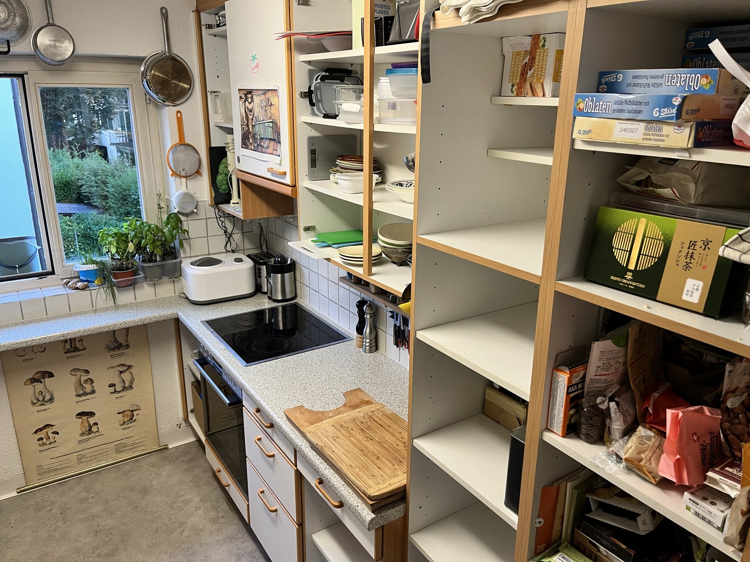 Room in a shared flat