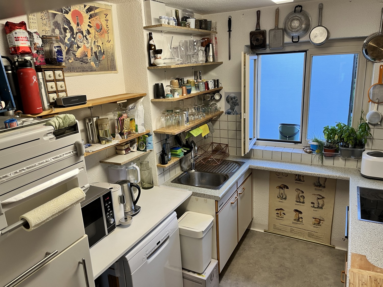 Room in a shared flat