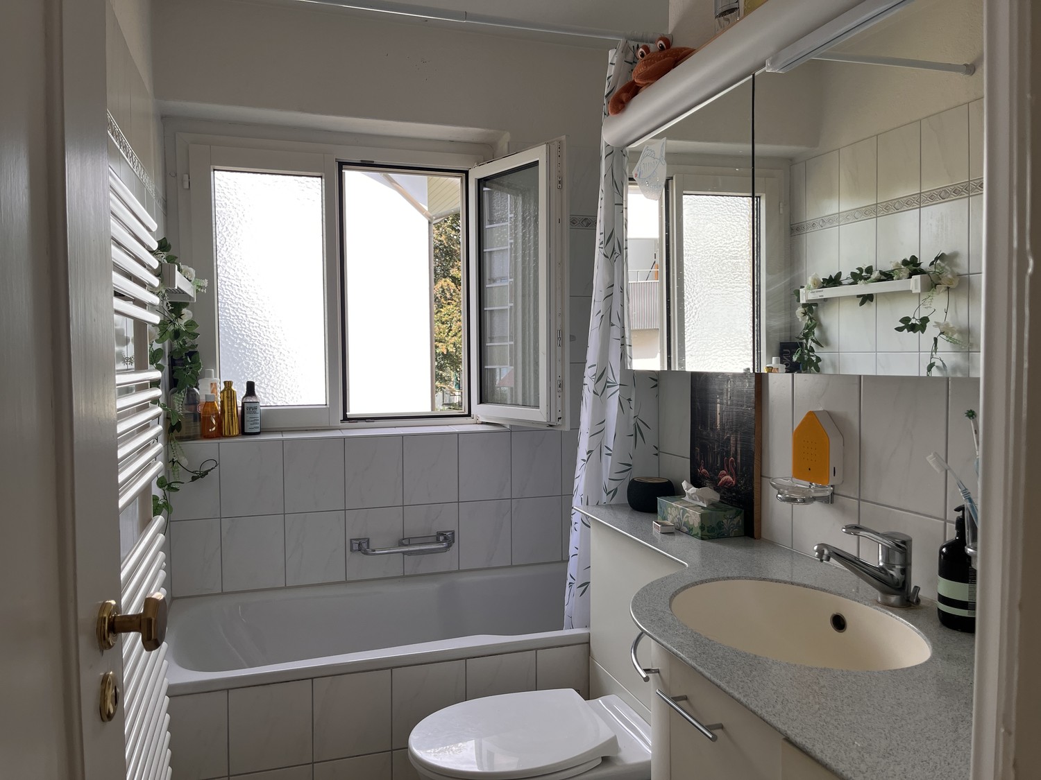Room in a shared flat